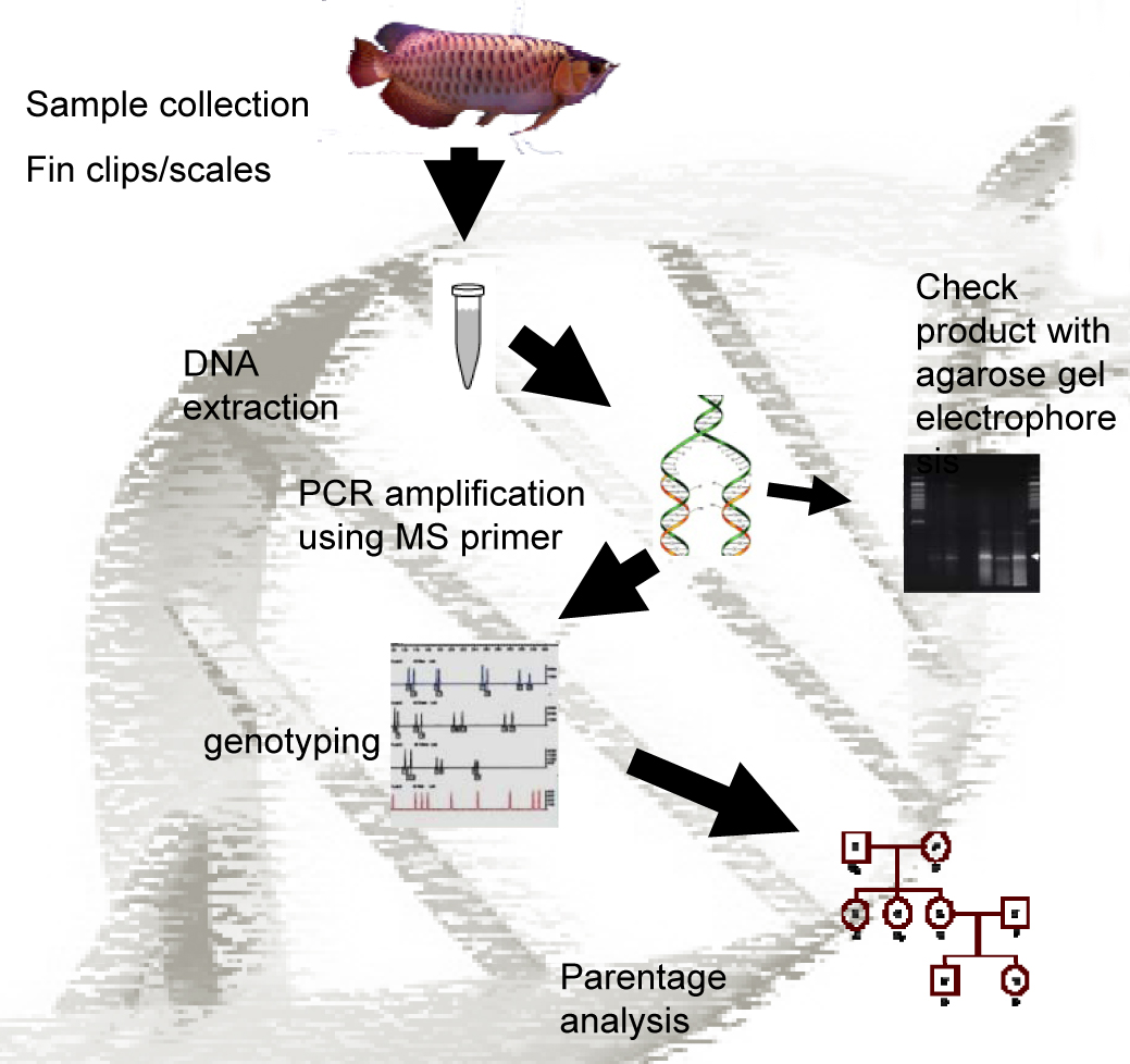 Articles on DNA.jpg